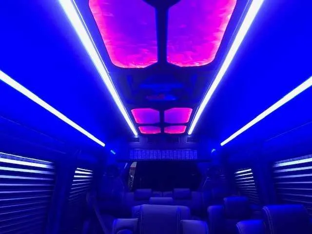 Mercedes Sprinter Luxury- 11 pax for mercedes sprinter rental in Los Angeles County, CA