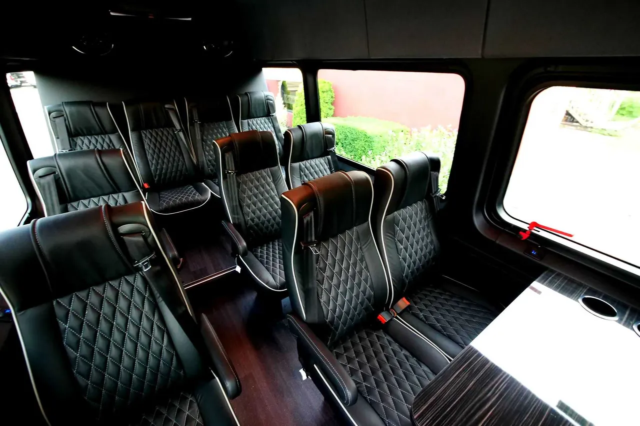 Black Mercedes Executive Sprinter, photo 5 for mini coach rental in Jackson Heights, NY