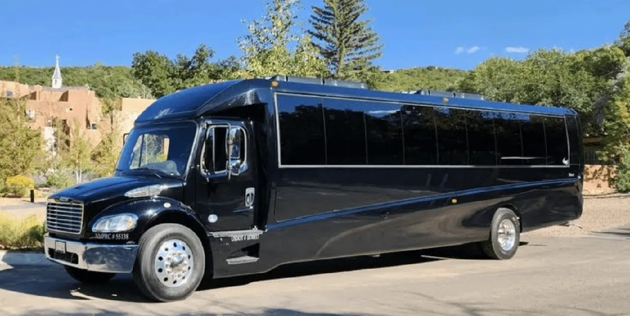 Black Mini Coach Executive, photo 2 for minibus rental in Jean, NV