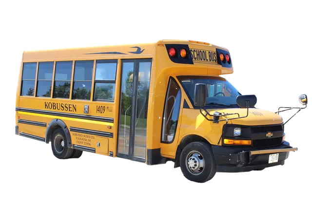 15 Passenger Mini School Bus for charter bus rental in Little Chute, WI 15 Passenger Mini School Bus for charter bus rental in Little Chute, WI