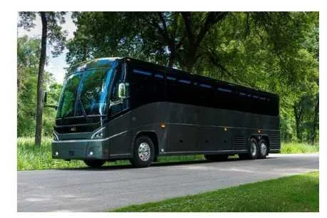 Gray Motorcoach- 55 Pax