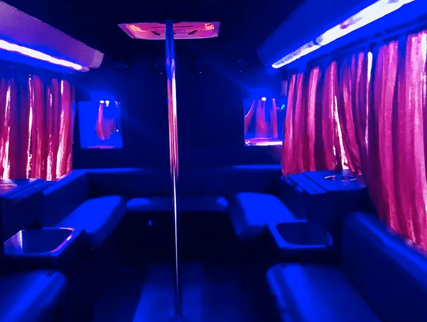 16 Passenger Party Bus interior with perimeter lounge seating, window shades and dance pole for bachelorette party transport in Big Pine, CA