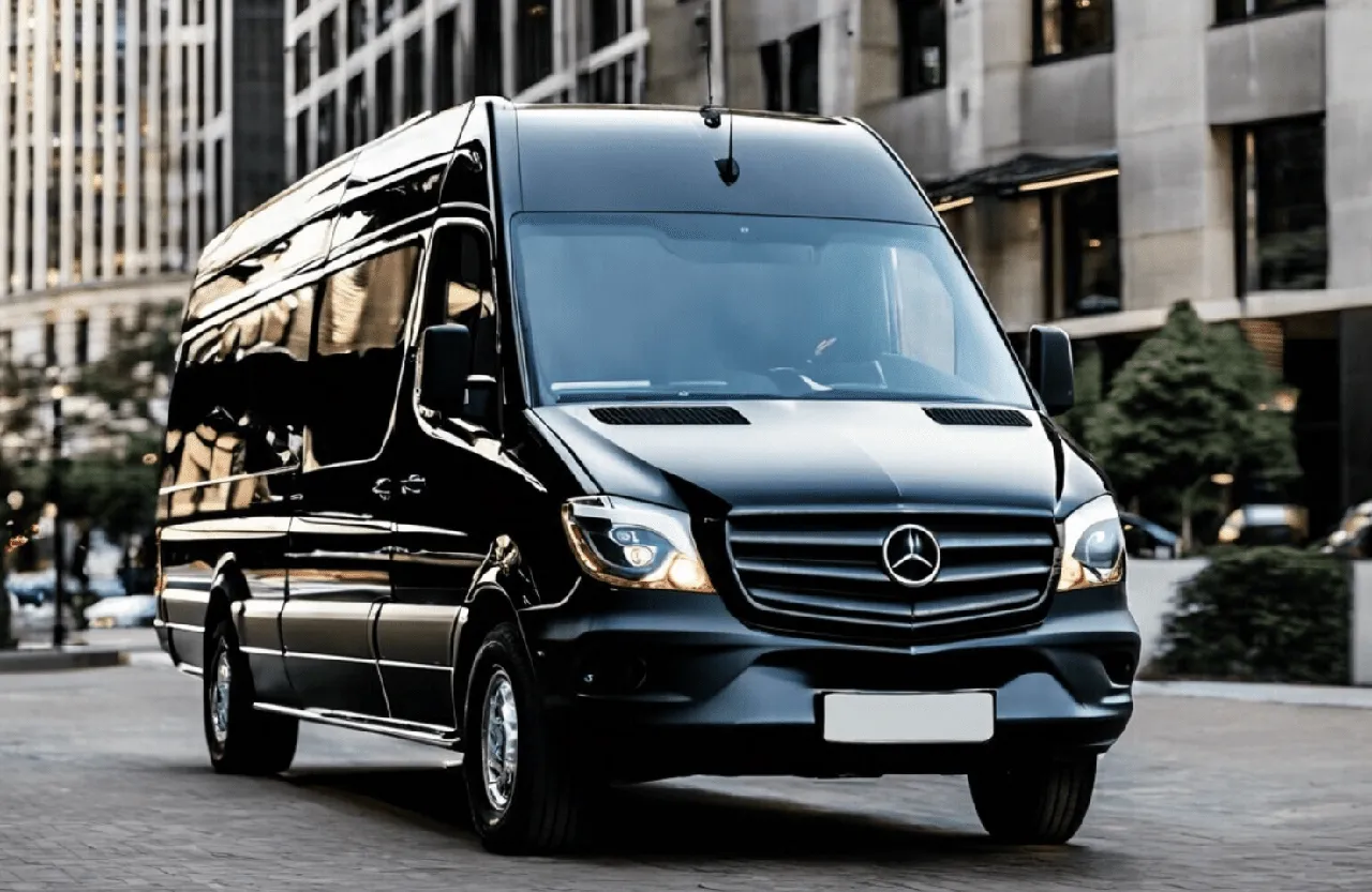 Black 15 Passenger Party Bus for party bus rental Black 15 Passenger Party Bus for party bus rental