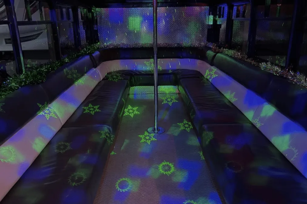 20 Passenger Party Bus interior with perimeter lounge seating and dance pole for party bus rental
