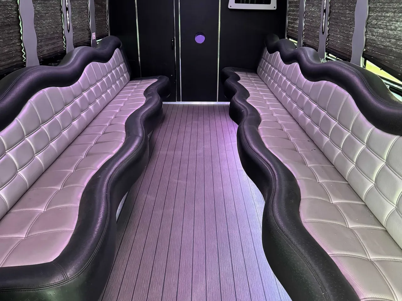 White 24 Passenger Party Bus, photo 2 for party bus rental