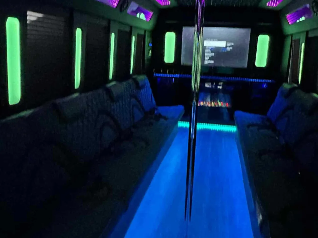 White 18 Passenger Party Bus, photo 2 for party bus rental White 18 Passenger Party Bus, photo 2 for party bus rental