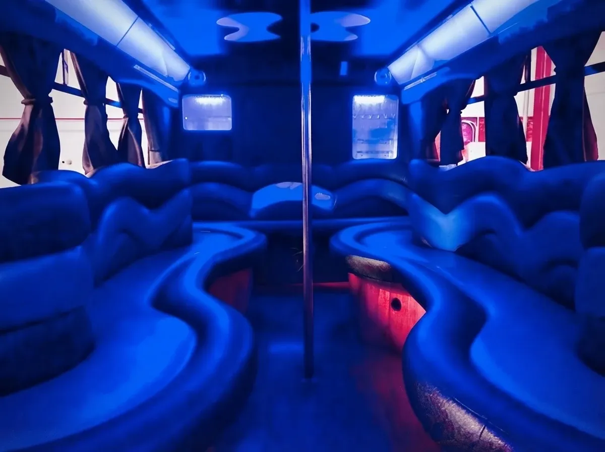 Black 18 Passenger Party Bus, photo 2 for party bus rental Black 18 Passenger Party Bus, photo 2 for party bus rental