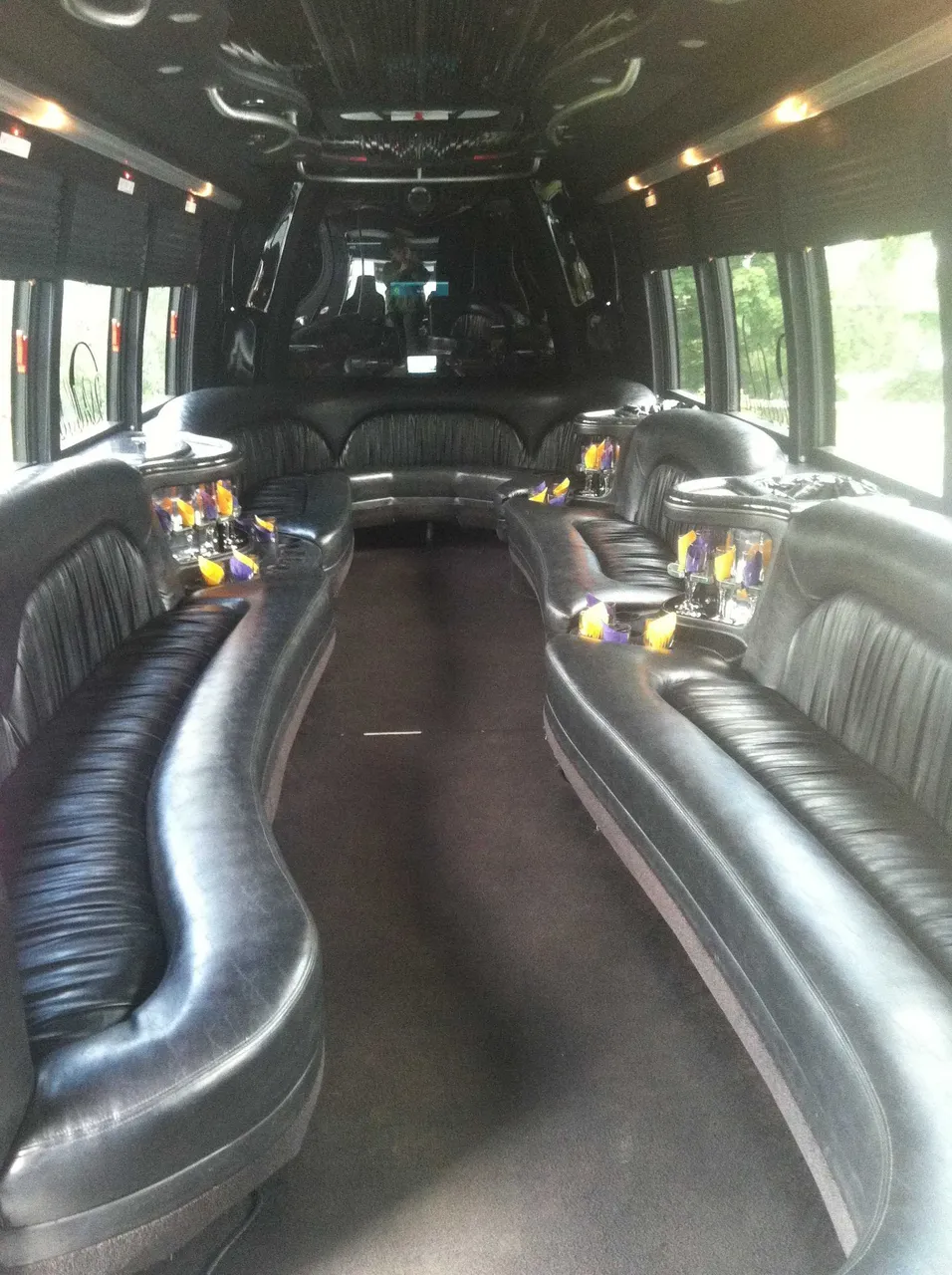 Party Bus - Dean Martin interior, photo 2 for party bus rental in Williamsport, PA