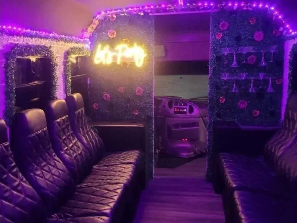 Pink Rose Party Bus, photo 2 for party bus rental Pink Rose Party Bus, photo 2 for party bus rental