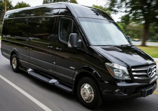 Black Sprinter for mercedes V-Class rental in Simpsonville, SC