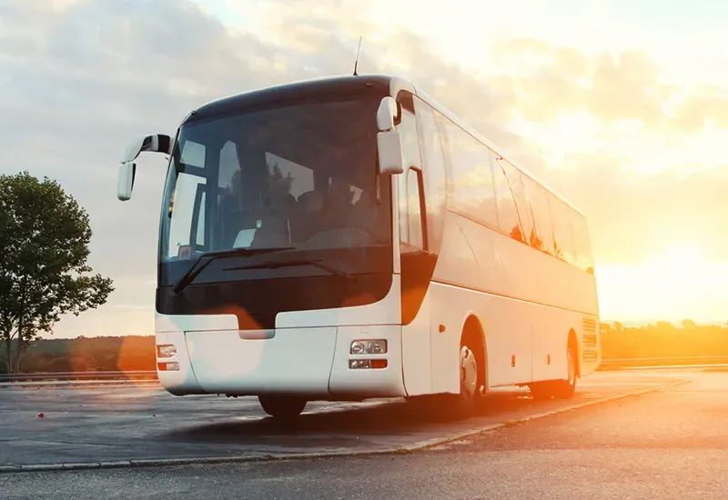 Luxury 30-Passenger Coaches