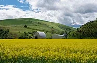 Idaho